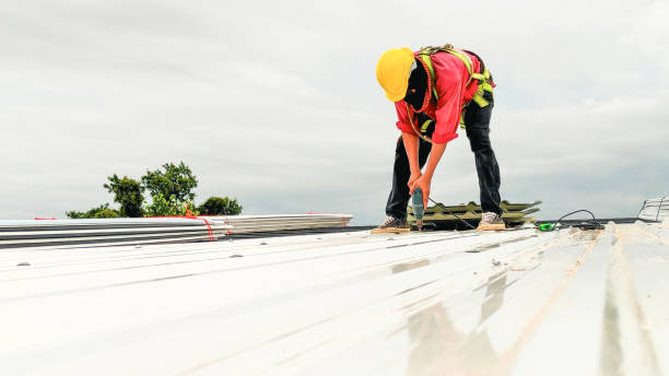 Best Roof Moss and Algae Removal  in Glenmora, LA